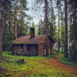 log cabin, cottage, house, home, finland, landscape, nature, outdoors, country, rural, forest, trees, woods, cottage, house, house, house, house, home, home, home, home, home, finland, forest, forest