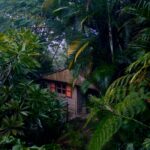 Discover a peaceful wooden house nestled in the lush greenery of Cuetzalan, Mexico's rainforest.